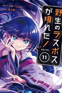 Baca A Wild Last Boss Appeared! Bahasa Indonesia