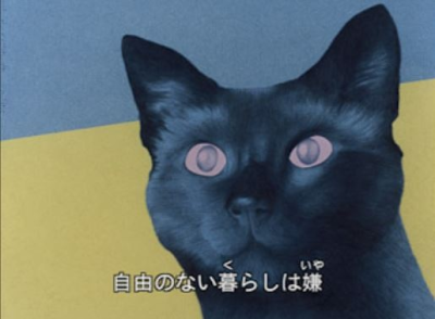 Nonton Cat's Eye Love Sub Indo