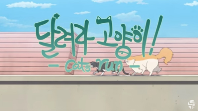 Nonton Cats Run Sub Indo