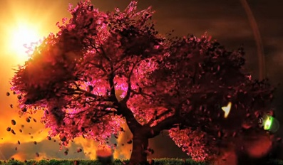 Nonton Cherry Blossom (Music) Sub Indo