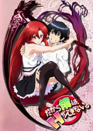 Nonton Dakara Boku wa, H ga Dekinai. Sub Indo