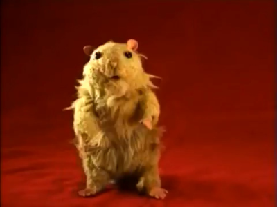 Nonton Hamster Sam Sub Indo