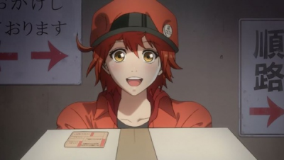 Nonton Hataraku Saibou CM Sub Indo