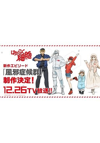 Nonton Hataraku Saibou: Kaze Shoukougun Sub Indo