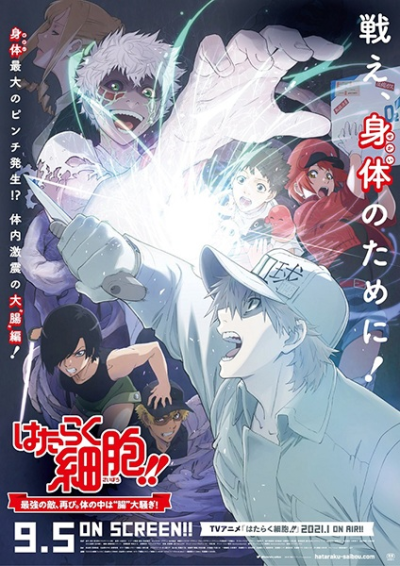 Nonton Hataraku Saibou!! Saikyou no Teki, Futatabi. Karada no Naka wa "Chou" Oosawagi! Sub Indo