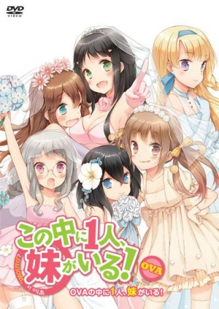 Nonton Kono Naka ni Hitori, Imouto ga Iru!: Ani, Imouto, Koibito Sub Indo