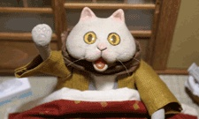 Nonton Kotatsu Neko Sub Indo