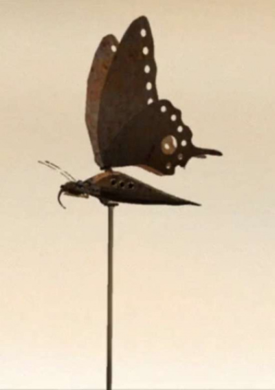 Nonton Lost Butterfly Sub Indo