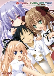 Nonton Mayoi Neko Overrun! Specials Sub Indo