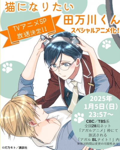 Nonton Neko ni Naritai Tamagawa-kun Sub Indo