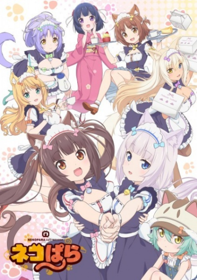 Nonton Nekopara Sub Indo