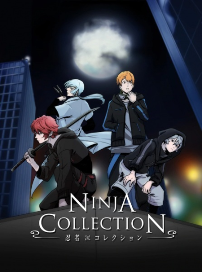 Nonton Ninja Collection Sub Indo