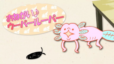 Nonton Onegai! Wooper Looper Sub Indo