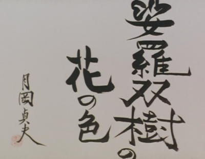 Nonton Sarasoujuu no Hana no Iro Sub Indo