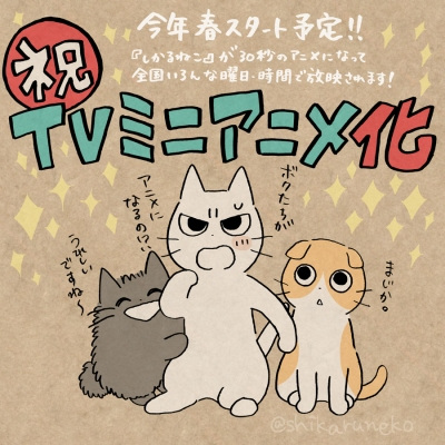 Nonton Shikaru Neko Sub Indo