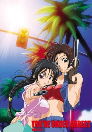 Nonton Taiho Shichau zo in America Sub Indo