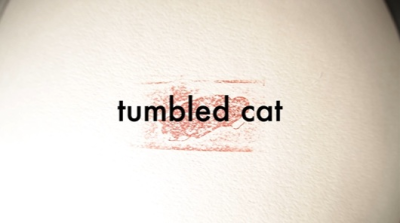 Nonton Tumbled Cat Sub Indo