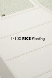 1/100 Rice Planting