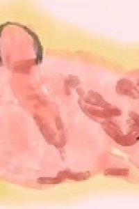 Akuru Hi no Aru ka Nai Ashi