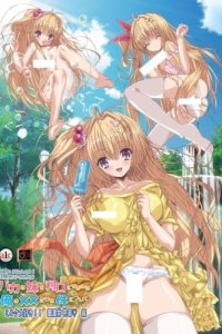 Baka na Imouto wo Rikou ni Suru no wa Ore no xx dake na Ken ni Tsuite