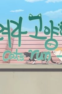 Cats Run