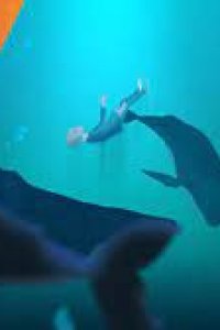 Dive feat. MRSHLL and Megan Lee