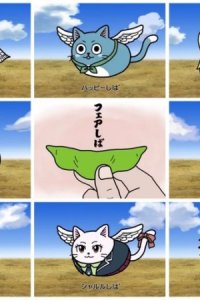 Fairy Tail x Mameshiba