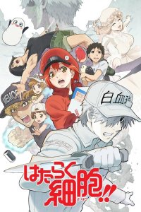 Hataraku Saibou