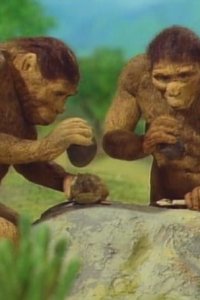 Hito no Kita Tooku Nagai Michi