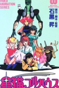 Hoshi Neko Fullhouse