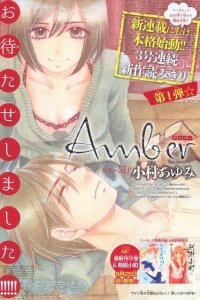 Baca Amber Bahasa Indonesia