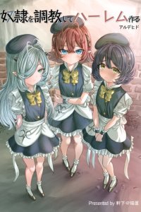 Baca Dorei wo Choukyoushite Harem Tsukuru Bahasa Indonesia