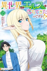 Baca Isekai kara Elf-san ga Ochite Kita no desu ga!? Bahasa Indonesia