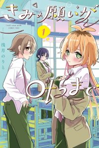 Baca Kimi no Negai ga Kanau made Bahasa Indonesia