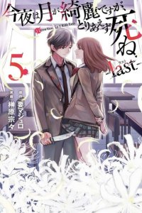 Baca Konya wa Tsuki ga Kirei Desu ga, Toriaezu Shine: Last Bahasa Indonesia