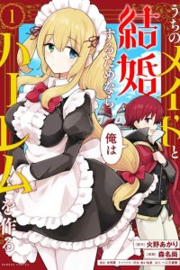 Baca Uchi no Maid to Kekkon suru Tamenara ore wa Harem wo Tsukuru Bahasa Indonesia