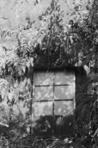 My Shelter