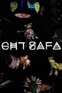Night Safari