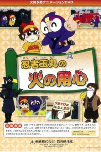 Ninja Tamamaru no Hi no Youjin