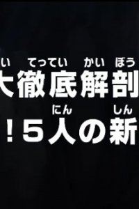 One Piece: Dai Tettei Kaibou! Gekitou! 5-nin no Shin Sedai