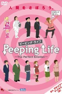 Peeping Life: The Perfect Emotion