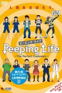 Peeping Life: The Perfect Explosion