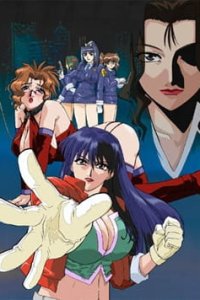 Shin-ban Megami Tantei Vinus File
