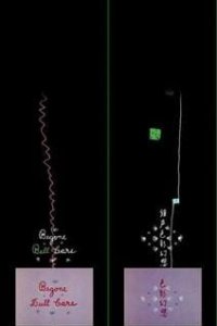 Shousei Shikisai Gensou