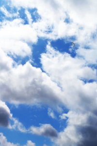 Suki na Ko ga Megane wo Wasureta Short Episode Specials