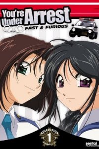 Taiho Shichau zo: Second Season