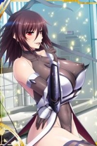 Taimanin Yukikaze Special