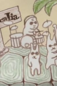 Usaband
