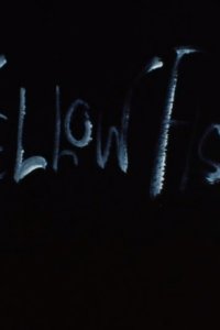Yellow Fish