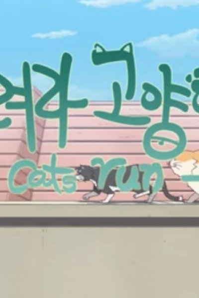 Cats Run